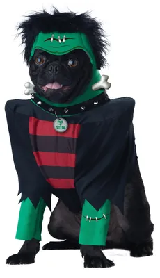 Zdjęcie produktu dla Kostium dla psa "Frankenpuppy" - rozmiar L