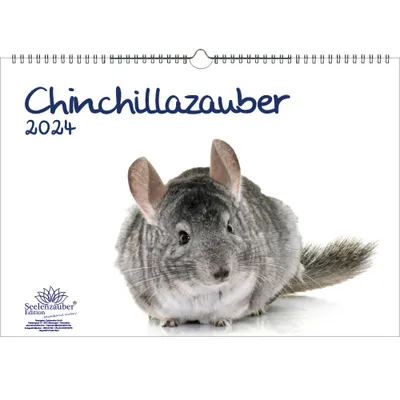 Produktbild von Chinchillazauber DIN A3 Kalender für 2024 Chinchilla - Seelenzauber