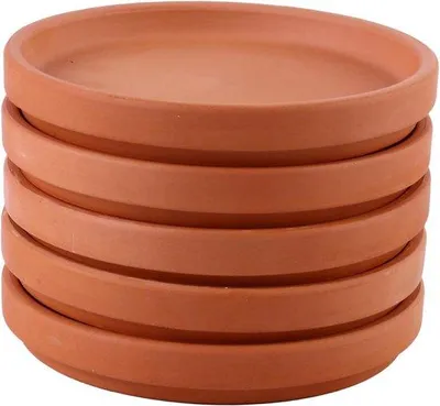 Image de Lot de 5 soucoupes pour pots de fleurs en terre cuite