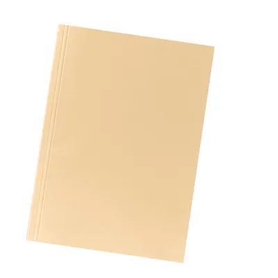 Produktbild von Falken 80001233, Champagner, Karton, A4, Porträt, Deutschland