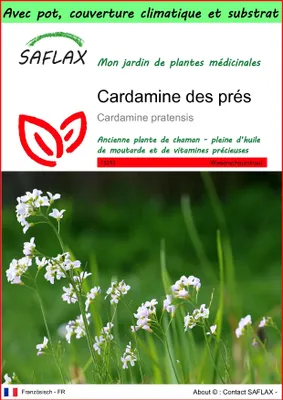 Image de SAFLAX Garden to go - Cardamine des prés - 100 graines - Cardamine