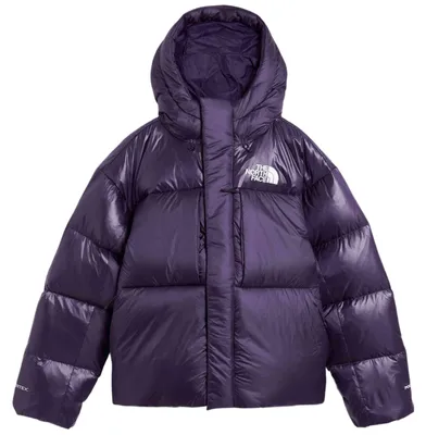 Zdjęcie produktu dla Kurtka The North Face NF0A8DQB1JI1 dla Uni