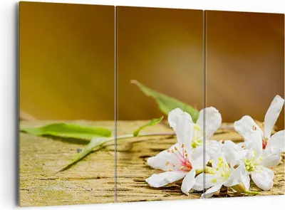 Produktbild von Bild auf Leinwand - Leinwandbild - Asien spa bambus blume - 165x110cm - Wand Bild - Wanddeko - Leinwanddruck - Bilder - Kunstdruck - Wanddekoration - Leinwand bilder - Wandkunst - CE165x110-2499