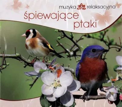 Immagine prodotto di Musica rilassante - Canto degli uccelli