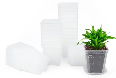 Produktbild von Pflanztopf Anzuchttopf Blumentopf - 7 cm - Quadratisch - Transparent - Mit Untersetzer - 24 Stück