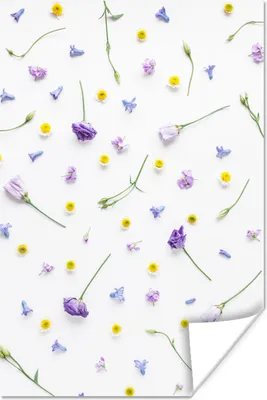 Produktbild von MuchoWow® Poster Blumen - Lila - Gelb 80x120 cm - Papierdruck