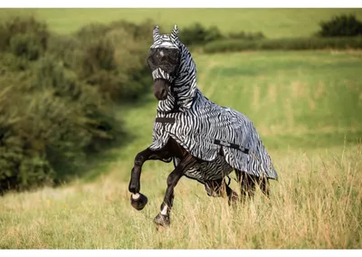 Image de Covalliero Pferde Fliegendecke RugBe Zebra, inkl. Halsteil, 145 cm