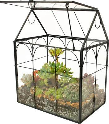 Produktbild von Handgefertigtes terrarium in Hausform mit schwingendem Deckel - ideal für Farne, Moos, Kakteen und Luftpflanzen