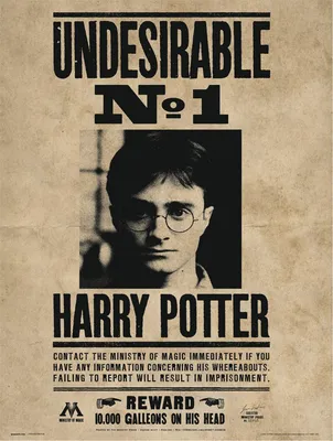 Produktbild von Harry Potter - Kunstdruck - Undesirable N. 1