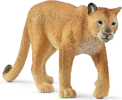 Produktbild von Schleich Wild Life - Puma, Figur für Kinder ab 3 Jahren
