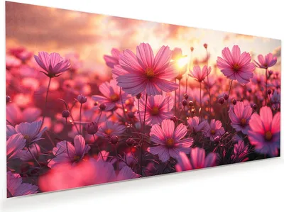 Produktbild von Glasbild 80x40cm in XXL für Wohnzimmer, Schlafzimmer Motiv Blumenfeld Sonnenuntergang