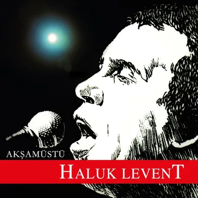 Produktbild von Akşam Üstü - Haluk Levent - Schallplatte
