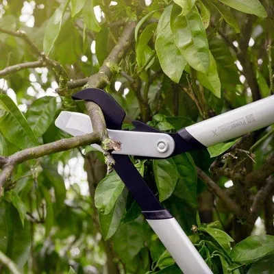 Obrázek produktu pro Nůžky na větve Powergear Bypass LLX98 FISKARS