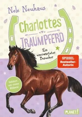 Zdjęcie produktu dla Charlottes Traumpferd 3: Ein unerwarteter Besucher