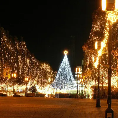 Image de Guirlande lumineuse Ikodm, 20 mètres, 200 LED, lumière blanche chaude, 8 modes, indice de protection IP44, 31 V, gaine blanche, idéale pour Noël et le jardin