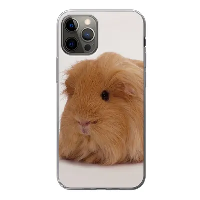 Produktbild von MuchoWow® Handyhülle Schutzhülle Hülle für iPhone 13 Pro Sheltie-Meerschweinchen Silikon Softcase Handy Hülle - Handy-Tasche