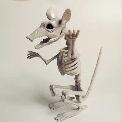 Image de Os squelette d'animal d'Halloween, simulation d'horreur, décoration de fête