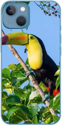 Produktbild von König Design Hülle kompatibel mit Apple iPhone 14 Plus Kunststoff Soft Handyhülle - Handy Case Tucan