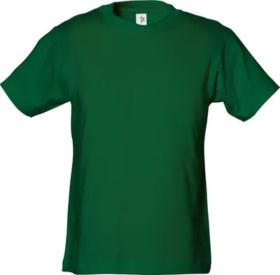 Produktbild von Tee Jays Junior Power Tee