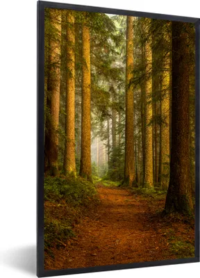 Produktbild von MuchoWow® Gerahmtes Poster Wald - Natur - Bäume - Landschaft - Laub 60x90 cm - Poster mit Schwarzem Bilderrahmen Wandposter Rahmen Foto Bilder - Kunst