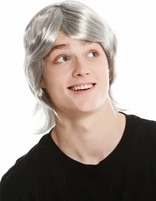 Produktbild von WIG ME UP Perücke Bart 70er Jahre Bulle Grau 91105-ZA68R