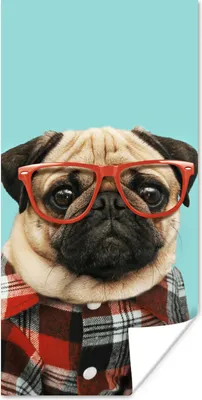 Produktbild von MuchoWow® Poster Hund - Hipster - Brille - Bluse 20x40 cm - Plakat - Foto