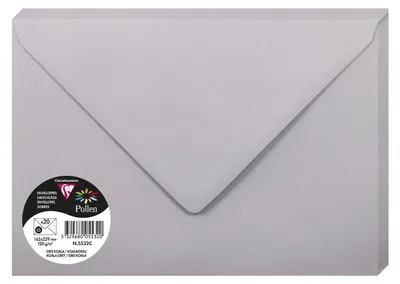 Obrázek produktu pro Pyl od Clairefontaine obálka C5, koala šedá