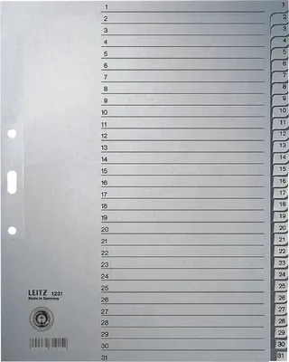 Immagine prodotto di LEITZ 1231-00-85 Papier-Register 1-31 10 Stck