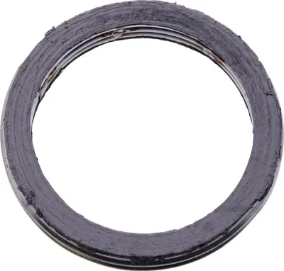 Immagine prodotto di Guarnizione del collettore per SYM Shark 125 DT, anni di produzione 1999-2003, di pamoto - Nuova