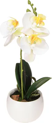 Produktbild von Kunstpflanze Orchideen im Keramiktopf für elegante Raumdekoration