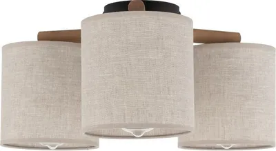 Productafbeelding van Plafondlamp DEVA 6865 van TK Lighting