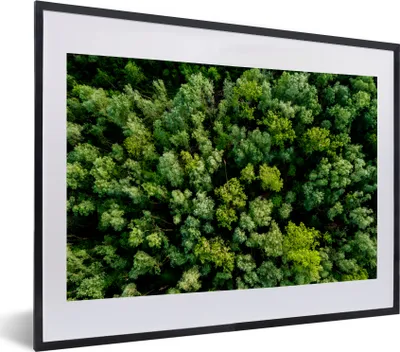 Produktbild von MuchoWow® MuchoWow® Gerahmtes Poster Baum - Wald - Grün 40x30 cm - Poster mit zchwarzem Bilderrahmen - Bilderrahmen - Poster im Rahmen