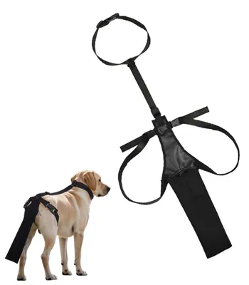 Imagen del producto de Protector para la cola de perro - Funda ajustable para la cola - Equipo de protección - Tejido Oxford duradero - Promueve la curación higiénica - Diseño cómodo - Protector de cola
