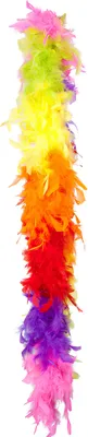 Immagine prodotto di Federboa Multicolore 180 cm - 50g | Regenbogen