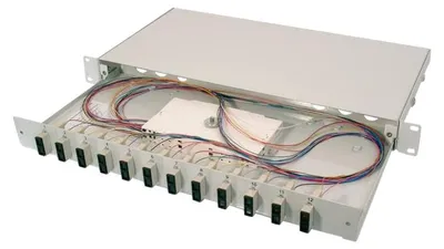 Imagen del producto de Digitus DN-96320/3 DIGITUS LWL Spleißbox 1HE bestückt  6x SC DX OM3 grau