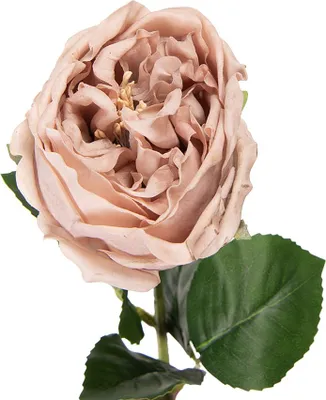 Obrázek produktu pro Clayre & Eef Umělý květ růže 43 cm béžová plastová