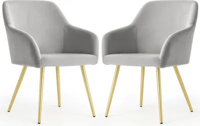 Produktbild von 2er Set Glatte Velours Esszimmerstühle ESTELLE Grau mit goldenen Beinen