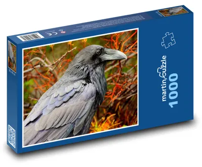 Zdjęcie produktu dla martinpuzzle - Puzzle 1000 - Wrona - ptak