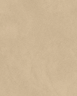 Produktbild von LIND DNA Tischset L Nupo 4-er Set, Farbe:Nature, Form:Curve