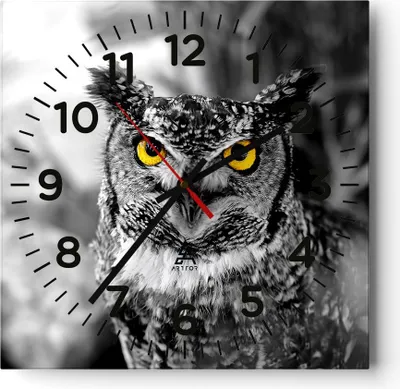 Produktbild von Wanduhr - Quadrat - Glasuhr - Eule Vogel Natur - 30x30cm - Schleichendes Uhrwerk - Lautlos - zum Aufhängen bereit - Dekoration Modern - Wanddekoration aus Glas - C4AC30x30-1318