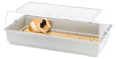 Produktbild von FERPLAST Gabbia Roditori MAXI DUNA MULTY per Criceti, Cavie, Porcellini d'India,