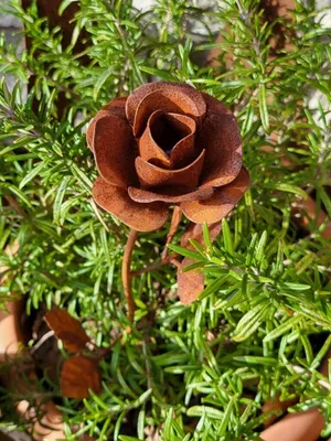 Produktbild von Edelrost Rose mit Stiel, klein