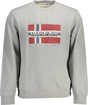 Immagine prodotto di Felpa con cappuccio da uomo NAPAPIJRI NP0A4EZ9-BERIS-C Colore: Grigio, Taglia: S