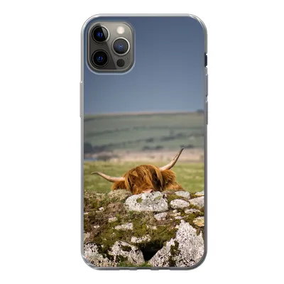 Produktbild von MuchoWow® Handyhülle Schutzhülle Hülle für iPhone 13 Pro Max Schottische Highlander - Steine - Gras Silikon Softcase Handy Hülle - Mobiltelefon