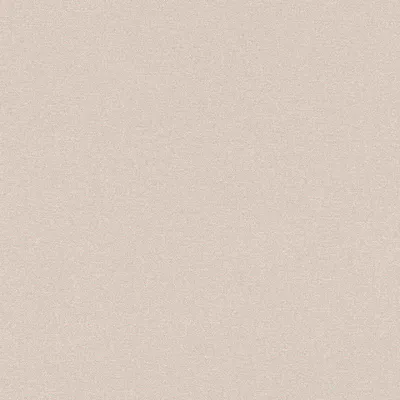 Produktbild von Rasch Vliestapete Color Your Life 633344 Uni Einfarbig Tapete 10.05 x 0.53 m Beige Wohnen Schlafen Küche Flur Eingangsbereich