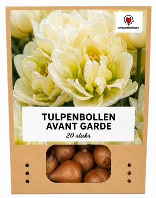 Productafbeelding van Tulpenbollen 'Avant Garde' | 20 Stuks | Gele Dubbelbloemige Tulp - 30-50cm - Ø5cm - Bloembol - Tuinplant
