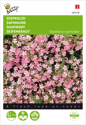 Produktbild von Seifenkraut | Seifenkrautsamen von Buzzy Seeds