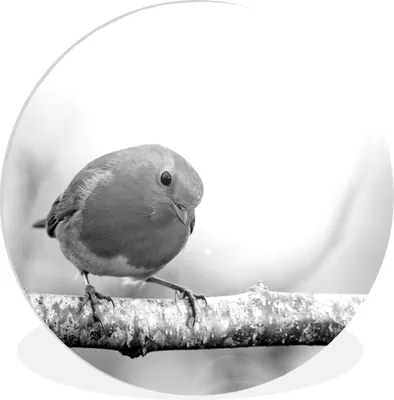 Produktbild von MuchoWow® - Schlafzimmer - Bilder - Der Kreis - Kunst für die Wohnung - Plastik - Kunstdruck - Wandbild