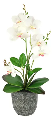 Zdjęcie produktu dla Sztuczna róża, motyl i orchidea z liśćmi i korzeniami powietrznymi, umieszczone w doniczce ceramicznej