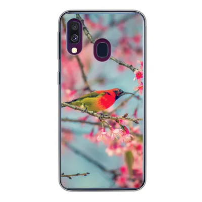 Produktbild von MuchoWow® Handyhülle Schutzhülle Hülle für Samsung Galaxy A40 Vogel - Sakura - Farben Silikon Softcase Handy Hülle - Handy-Tasche